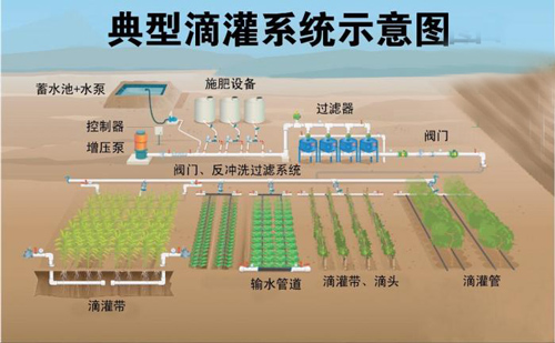 典型滴灌系统示意图