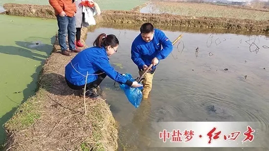 然而，要想莲藕“含金量”和产量名列前茅，需要定期施肥管理，为此，我产生了为花香藕量身定制专用配方的念头，于是，就有了开头藕塘取土采样的画面。